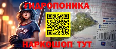 крисы Малоярославец