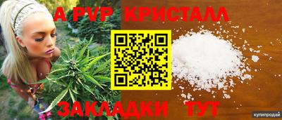 крисы Малоярославец