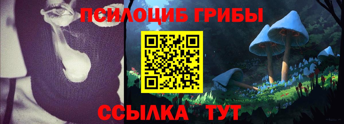 Галлюциногенные грибы ЛСД  Галлюциногенные грибы Magic Shrooms  Зеленодольск  Вход с VPN 